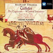 Strauss, R: Taillefer (Plasson) cover image cdn