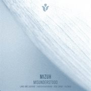 Misunderstood cover image cdn