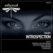 Introspection cover image cdn