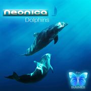 Dolphins cover image cdn