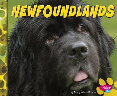 Newfoundlands  cover image cdn