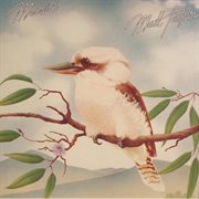 Music cover image cdn