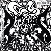 Magnet cover image cdn