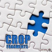 Fragments cover image cdn