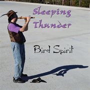 Bird spirit cover image cdn