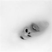 Admit cover image cdn