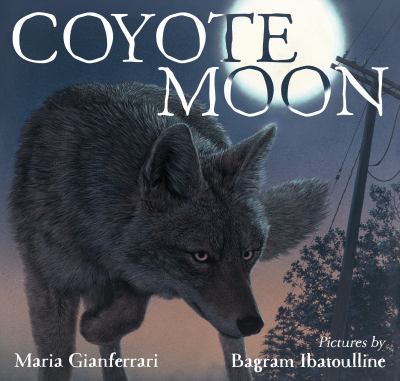 Coyote moon  cover image cdn