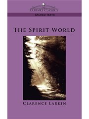 The spirit world cover image cdn