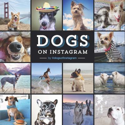Dogs on Instagram  cover image cdn