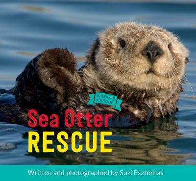 Sea otter rescue  cover image cdn