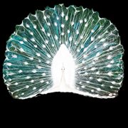 Night time sound desire cover image cdn