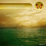 Contemplation 03 cover image cdn