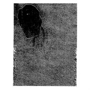 Fire in the sky cover image cdn