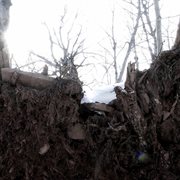 Bulb cover image cdn