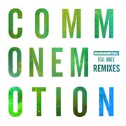 Common emotion  [remixes] cover image cdn