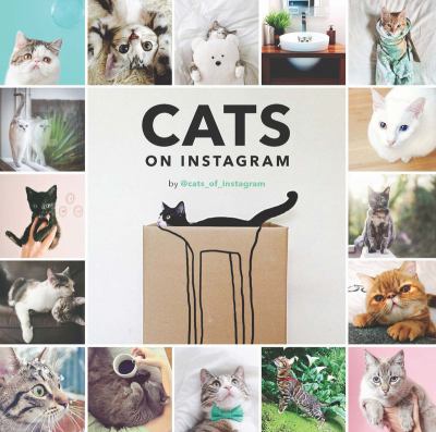 Cats on Instagram  cover image cdn