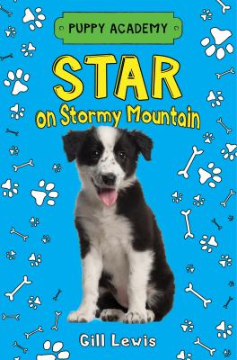 Star on Stormy Mountain  cover image cdn