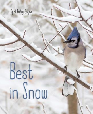 Best in snow  cover image cdn
