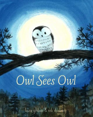 Owl sees owl  cover image cdn