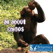 All about chimps cover image cdn