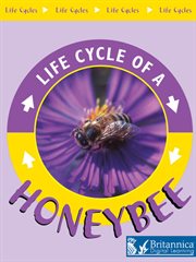 Honeybee cover image cdn