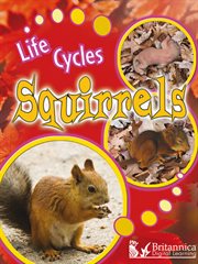 Squirrels cover image cdn