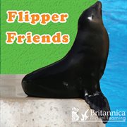 Flipper friends cover image cdn