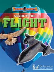 Secrets of Flight cover image cdn