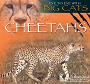 Cheetahs cover image cdn