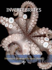 Invertebrates cover image cdn