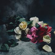 New haze cover image cdn