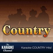 The karaoke channel - country hits of 1991, vol. 12 cover image cdn