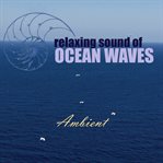 Relaxing sound of ocean waves: ambient audio for gentle relaxation, meditation, deep sleep, yoga, spa and lounge cover image cdn