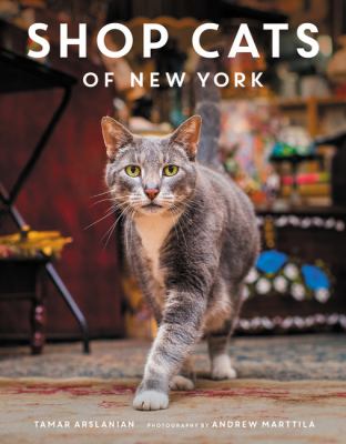 Shop cats of New York  cover image cdn