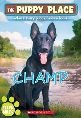 Champ  cover image cdn