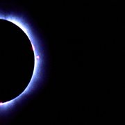 Release cover image cdn