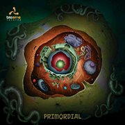 Primordial cover image cdn