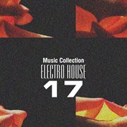 Music collection. electro house 17 cover image cdn