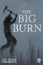 The big burn cover image cdn