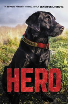 Hero  cover image cdn