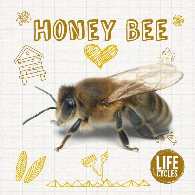 Life cycle of a honey bee cover image