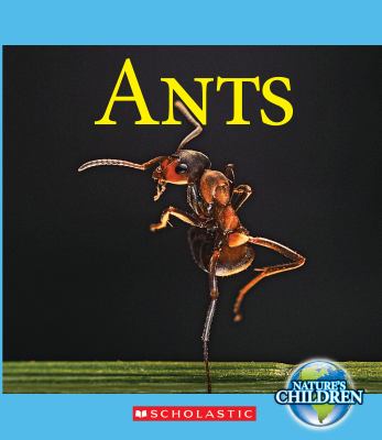 Ants  cover image cdn