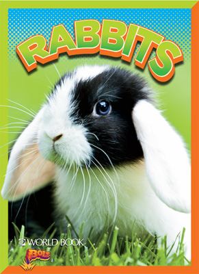Rabbits  cover image cdn