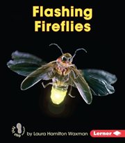 Flashing fireflies cover image cdn