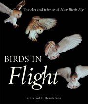 Birds in flight: the art and science of how birds fly cover image cdn