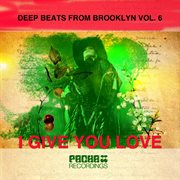 Deep beats from brooklyn, vol. 6 cover image cdn