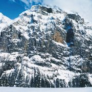 I am not a doctor cover image cdn