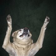 Lxve ep cover image cdn