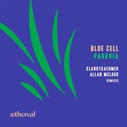 Padavia cover image cdn