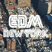 Edm  new york cover image cdn
